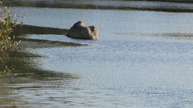 Rochefort sur loire (95)